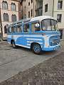 OM TIGROTTO - DALLA VIA  1958 - BUS 22+1 posti